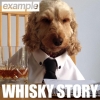 Example - "Whiskey Story" (2015, Sony Music UK)