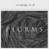 PLGRMS - "Crawling Back" Single (Sony Music, 2017)