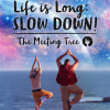 The Meeting Tree - "Life is Long: Slow Down!" (2015, Sony Music)
